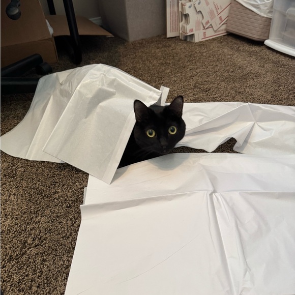 Meet your Posher, Karina - Picture 13 of 14